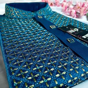 Special Luxury Punjabi